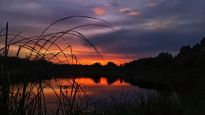 IMG-20250405-WA0040