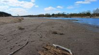 IMG_20250406_121740828
